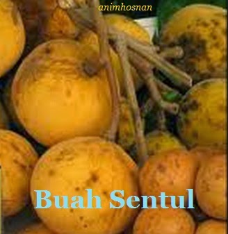 Anim Agro Technology: SENTUL