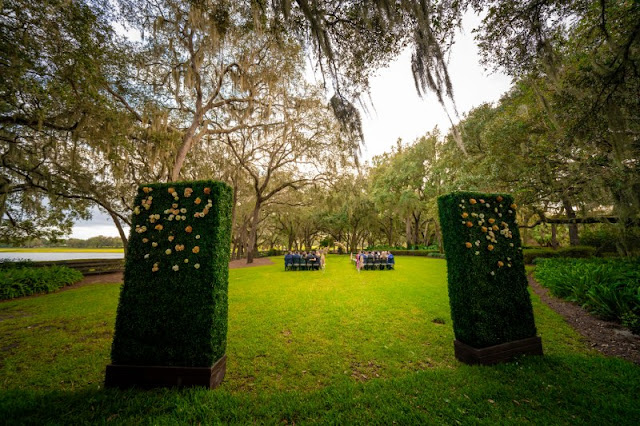 ceremony entrance with hedge walls