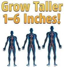 Tips to Increase Height