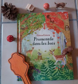 livre enfant, promenade dans les bois éditions usborne, blog planete parentage