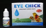 cara mengobati mata ayam dengan menggunakan obat Eye Chick