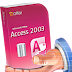 access 2003 - الدرس الأول