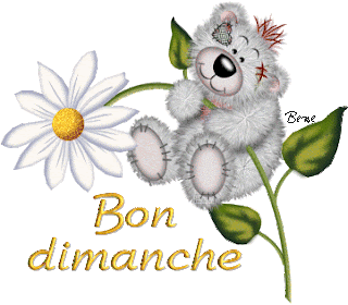 Bon dimanche