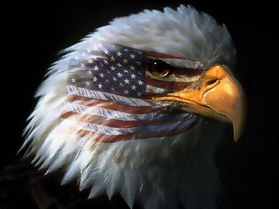 american flag eagle pictures. an American flag coupled