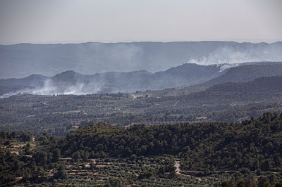 Fumo da un incendio boschivo, uno dei tanti in Spagna