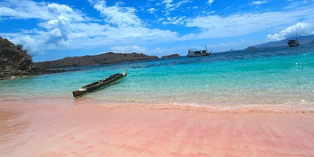 PINKBEACH, KOMODO