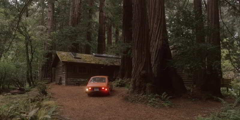 Dr Rhodes cabin in the woods