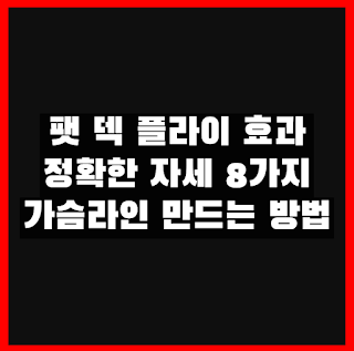 [헬스] 팻 덱 플라이 효과와 정확한 자세 8가지, 가슴라인 만드는 방법