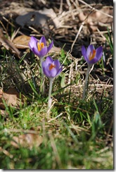 090318 006