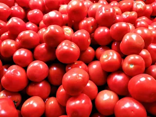 Tomato