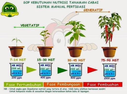 cara ternak kambing modern-day