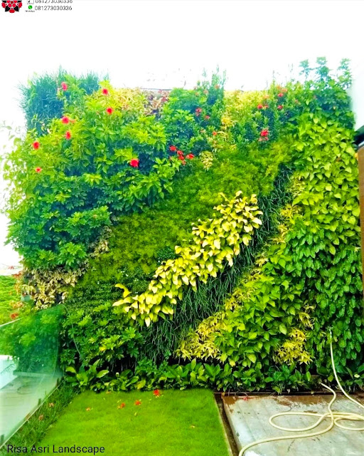 Jasa Vertical Garden Jakarta - Tukang Taman Vertikal - Jasa Vertical Garden Jakarta, Green Living Wall,  Green Garden Jakarta, Bogor, Depok, Tangerang, Bekasi.