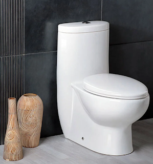 Modern style toilet by Fresca in a sleek bathroom.