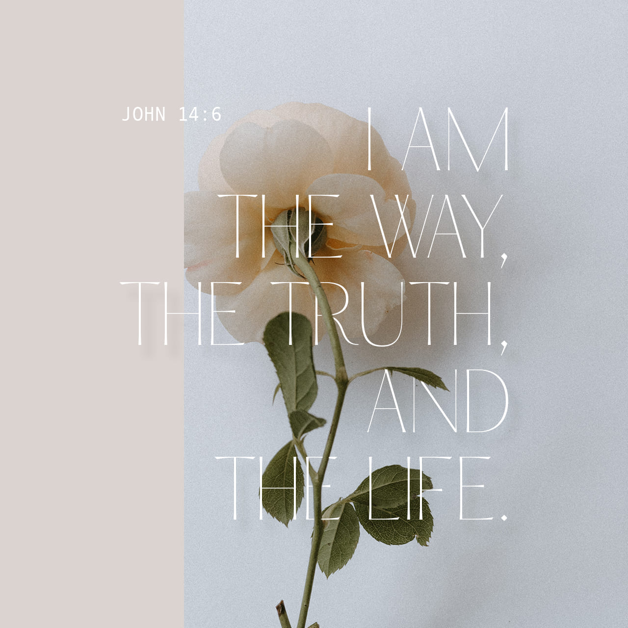 Jesus answered, “I am the way and the truth and the life. No one comes to the Father except through me. John 14:6 NIV https://john.bible/john-14-6