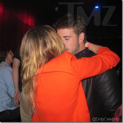 miley-cyrus-penis-cake-5