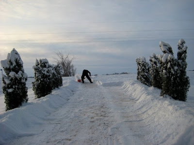 PB shoveling