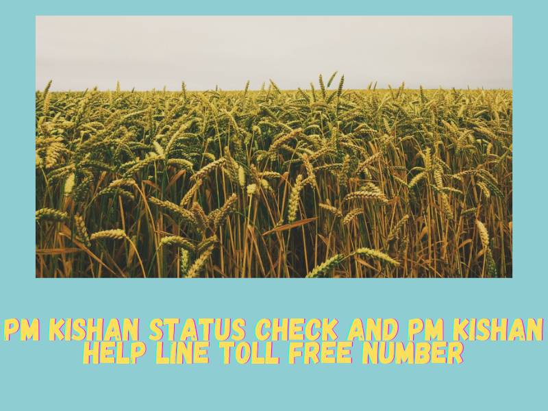PM kishan status check and pm kishan Help Line toll free number