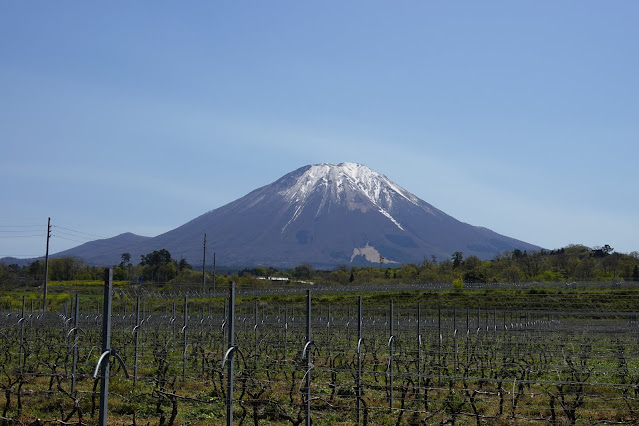 大山ワイナリー