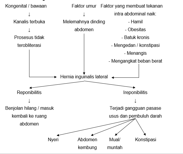 Asuhan Keperawatan Hernia I am Ners