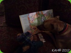 Reading With Tsavo