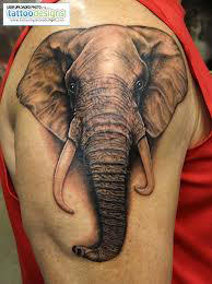 Elephant Tattoos