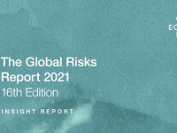 The Global Risks Report 2021.