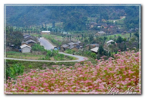 Cảnh Đẹp Việt Nam