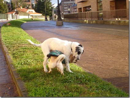 Jugando con Pepe