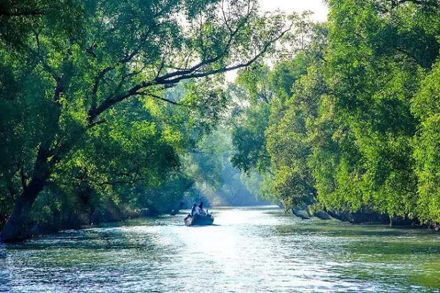 Sundarban scenery