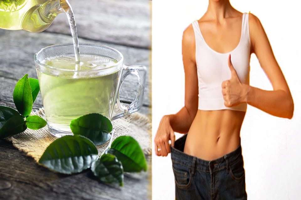 Benefits Of Green Tea On Weight Loss