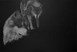 Mexican wolves white charcoal pencil drawing in progress