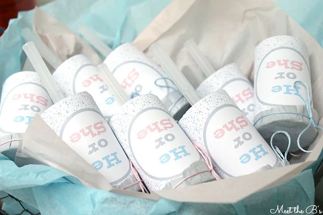 DIY Gender Reveal Confetti Poppers using Silhouette Studio