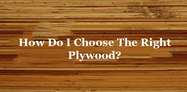 How Do I Choose The Right Plywood?