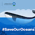  #SaveOurOceans Together with TikTok and Conservation International