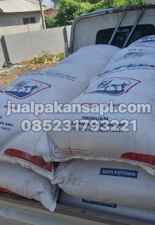 jual konsentrat sapi, harga konsentrat sapi, harga konsentrat sapi potong