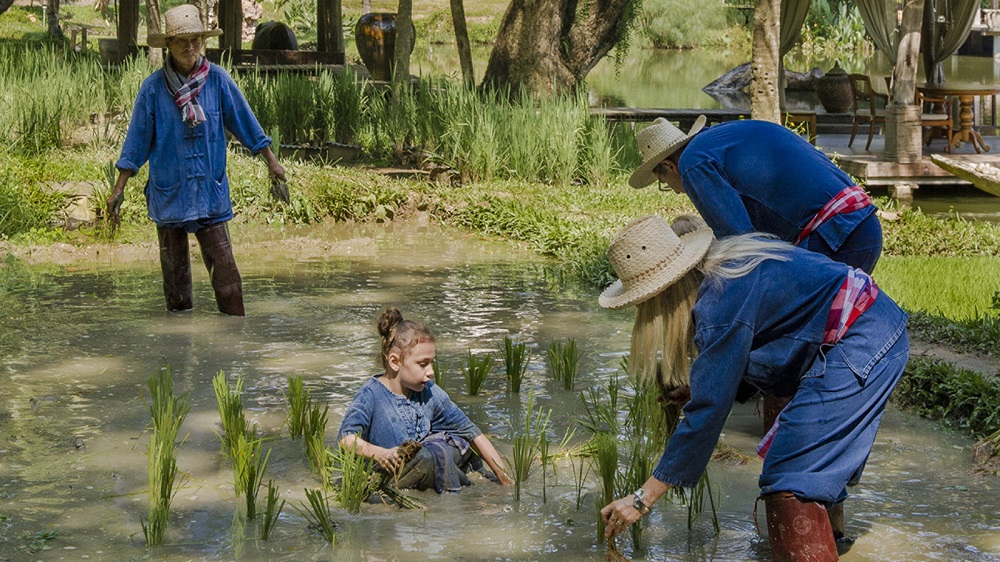 THE HOLIDAY SEASON AT FOUR SEASONS RESORT CHIANG MAI