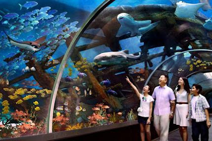    S.E.A. Aquarium breaks two Guinness World Records.