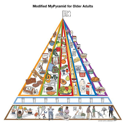 Food Pyramid Remodeled for