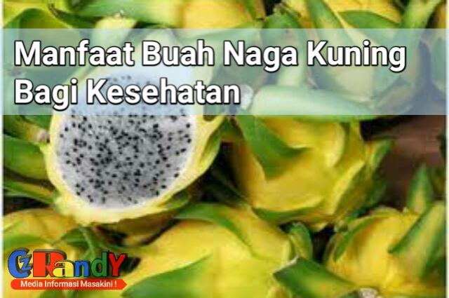 Manfaat Buah Naga Kuning Bagi Kesehatan Tubuh