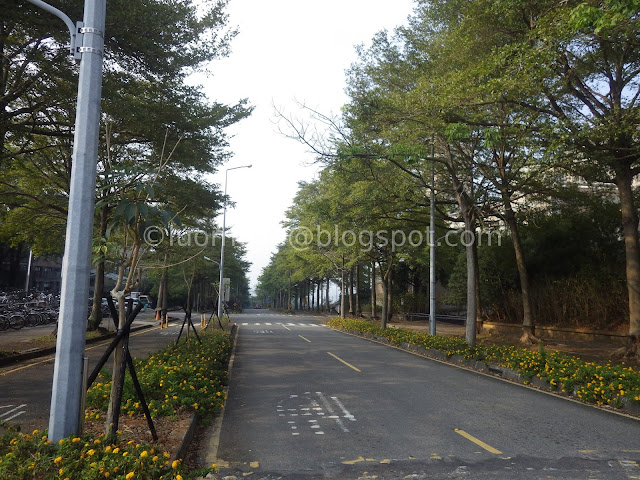 Meteor Garden university