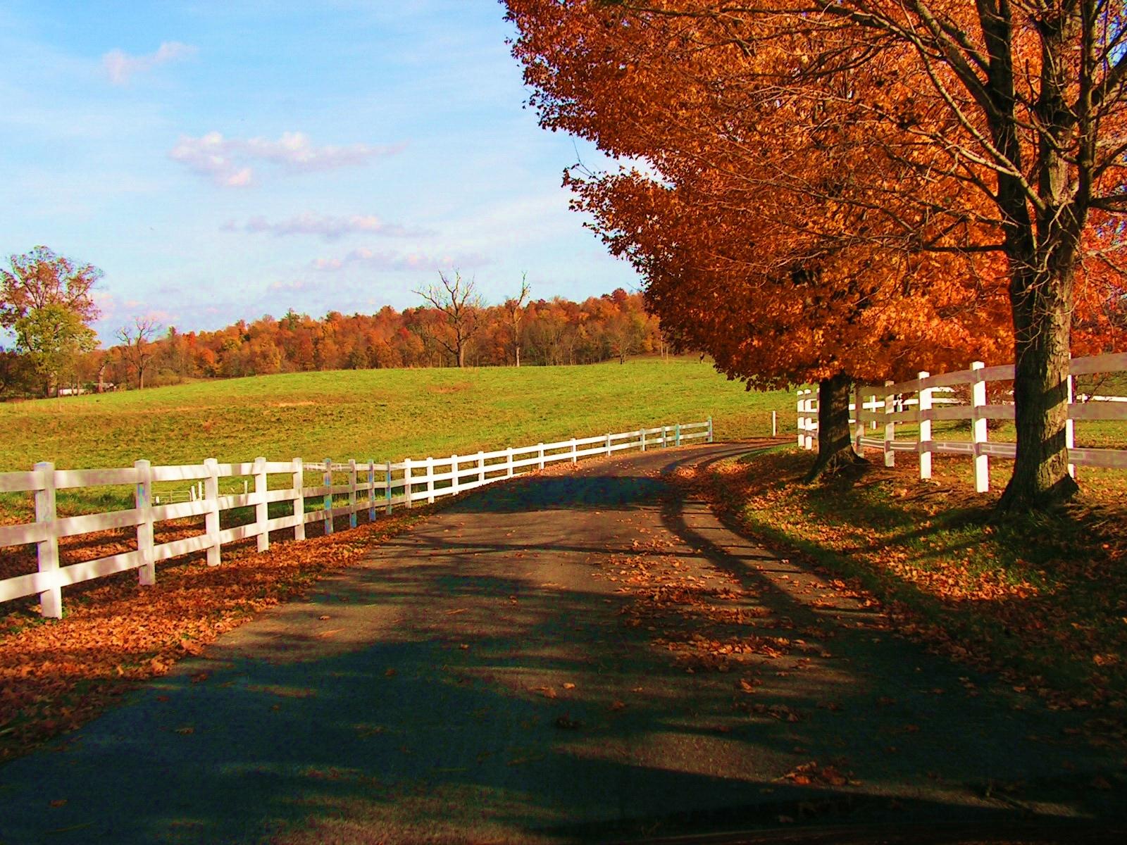 Autumn Wallpaper hd 2