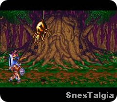 aranha-dupla-snes-kod-snes