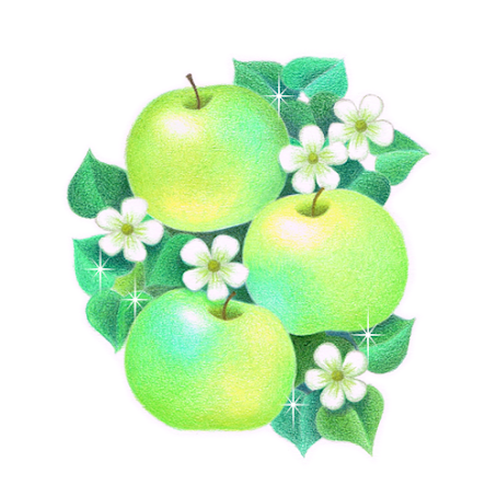【青りんご】果物のシンプルかわいい色鉛筆イラスト
