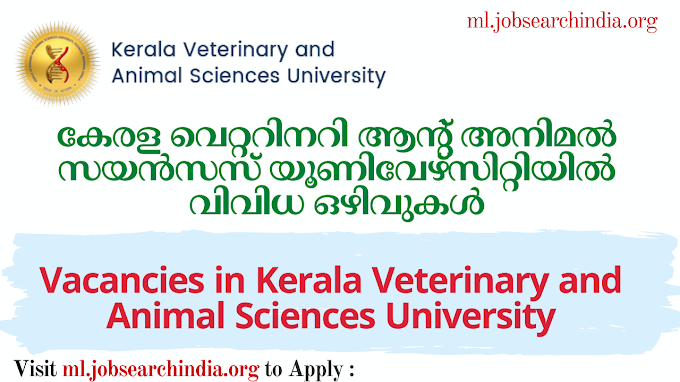  കേരള വെറ്ററിനറി ആന്റ് അനിമൽ സയൻസസ് യൂണിവേഴ്സിറ്റിയിൽ വിവിധ ഒഴിവുകൾ|Vacancies in Kerala Veterinary and Animal Sciences University