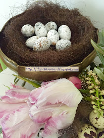 uova quaglia quail eggs