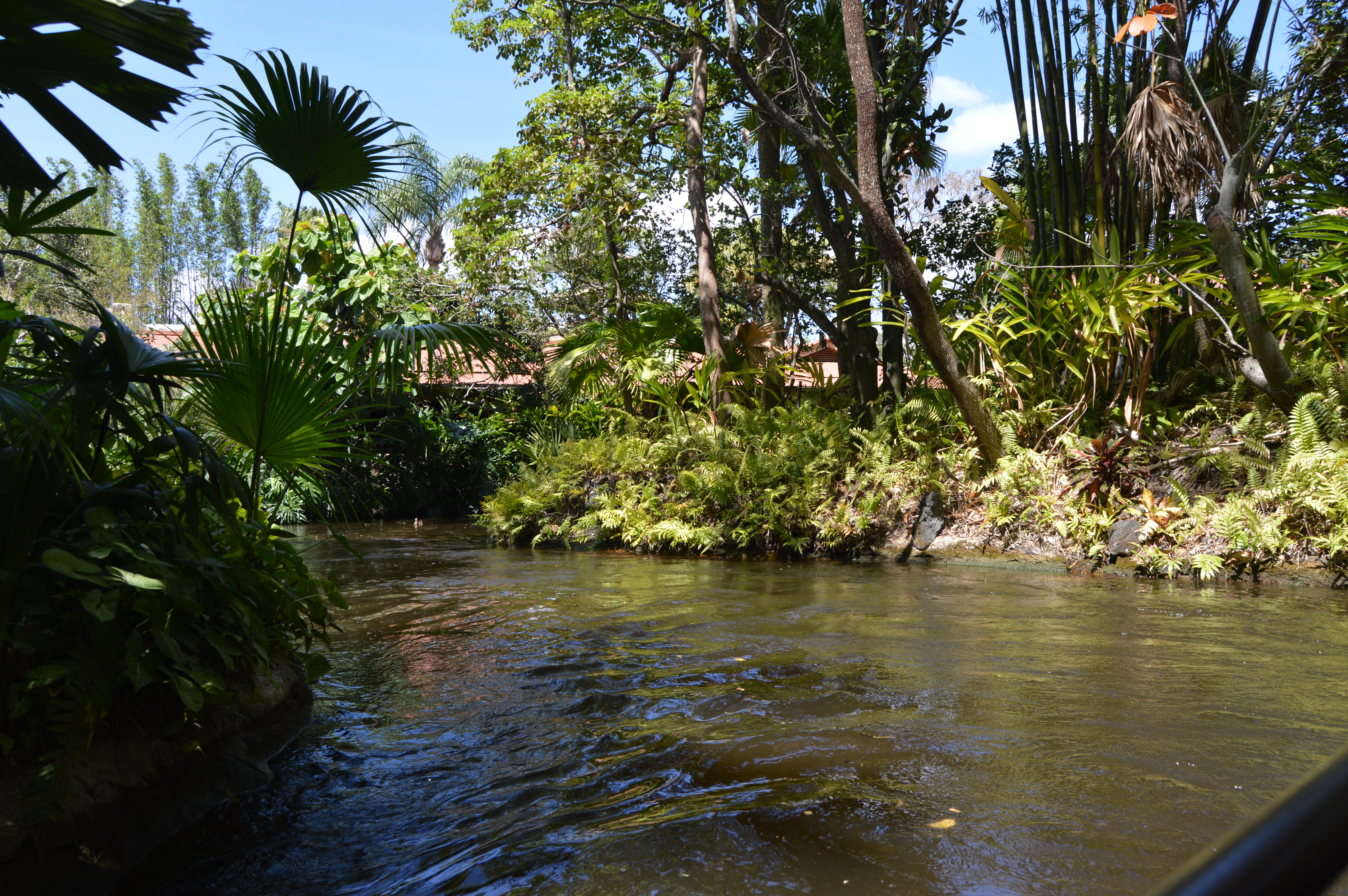 The jungle cruise ride at Magic Kingdom