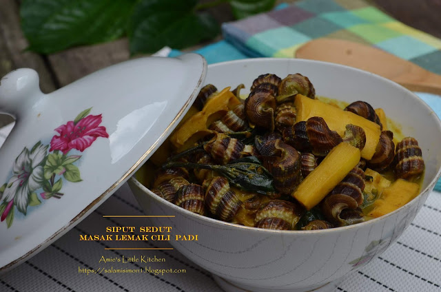 AMIE'S LITTLE KITCHEN: Siput Sedut Masak Lemak Cili Padi ...