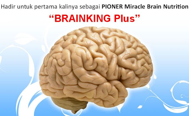 Brainkingplus untuk masalah kemunduran otak
