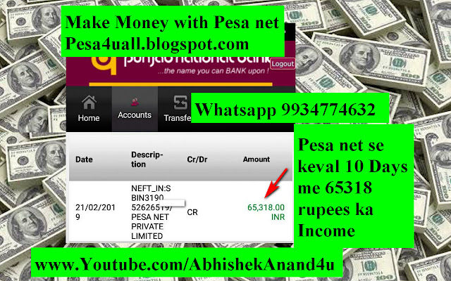 Pesa Net se keval 10 Days me 65318 rupees ka income | Pesa net payment proof of 65318 rupees February 2019 | Pesa net bank payment proof February 2019