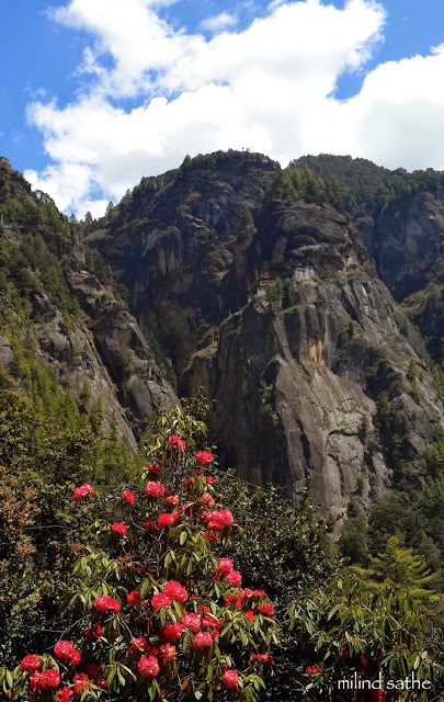 Taktsang (Tiger's Nest), Paro - photograph by MIlind Sathe